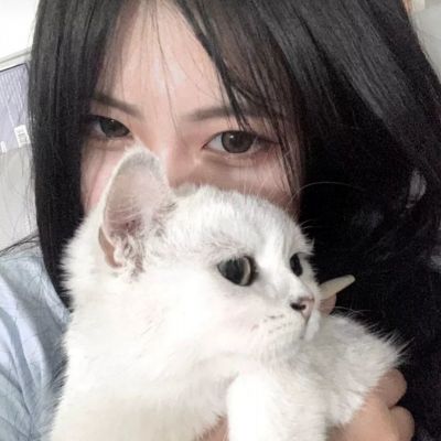 真正的摩托交通手游下载