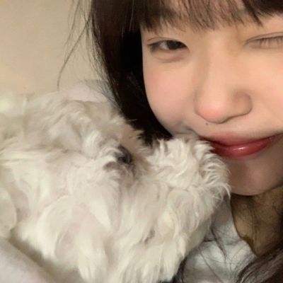 果盘皇家骑兵手游下载